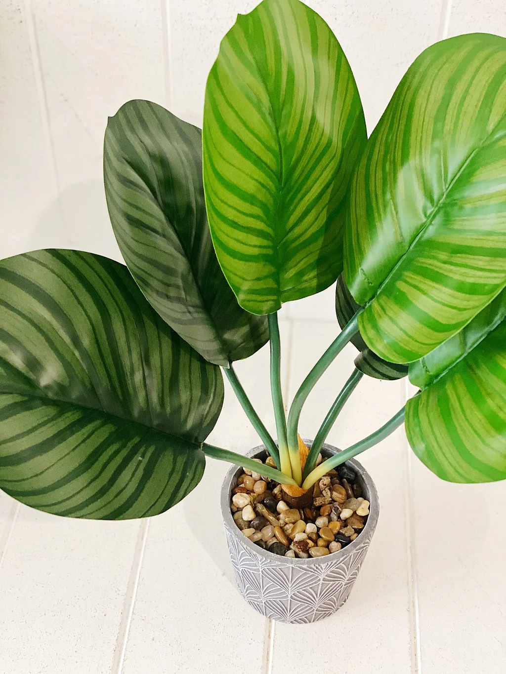 Artificial Assorted Ferns in Grey Decorative Pot - Image 10
