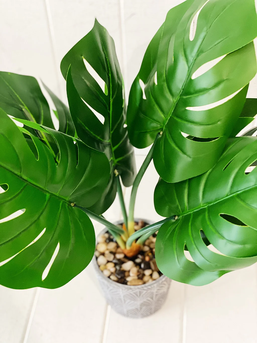 Artificial Assorted Ferns in Grey Decorative Pot - Image 8