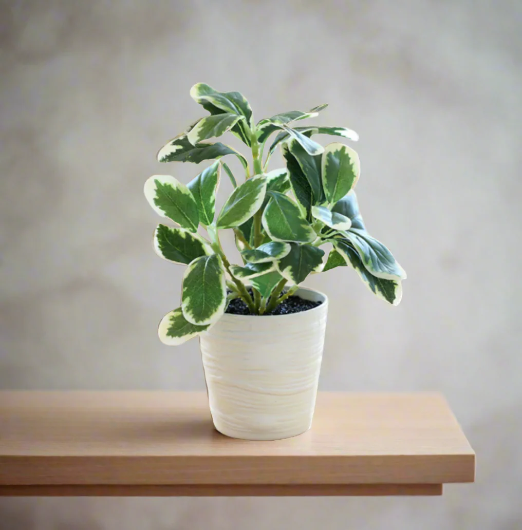 Artificial Green Leaf Pot - 28 cm - Image 2