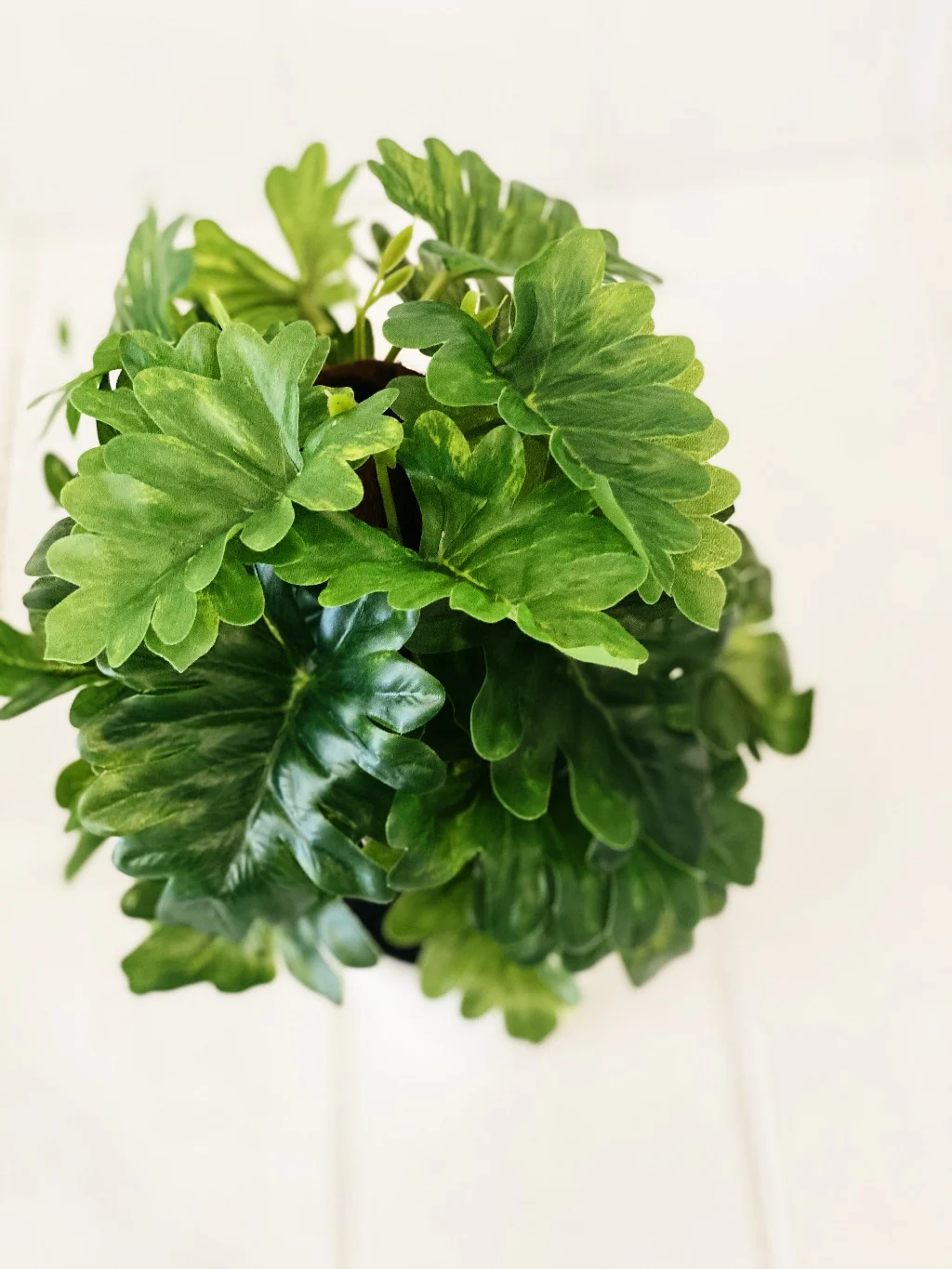 Artificial Monstera & Philodendron in Pot - Image 7