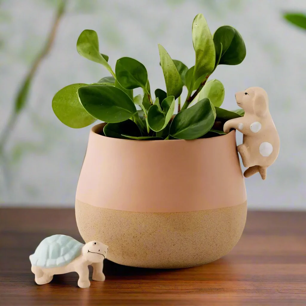 Turtle Pot Planter Sitter - Image 4